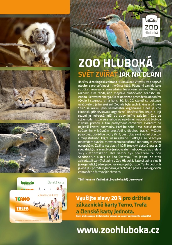 ZOO grafika Trefa aktualizace