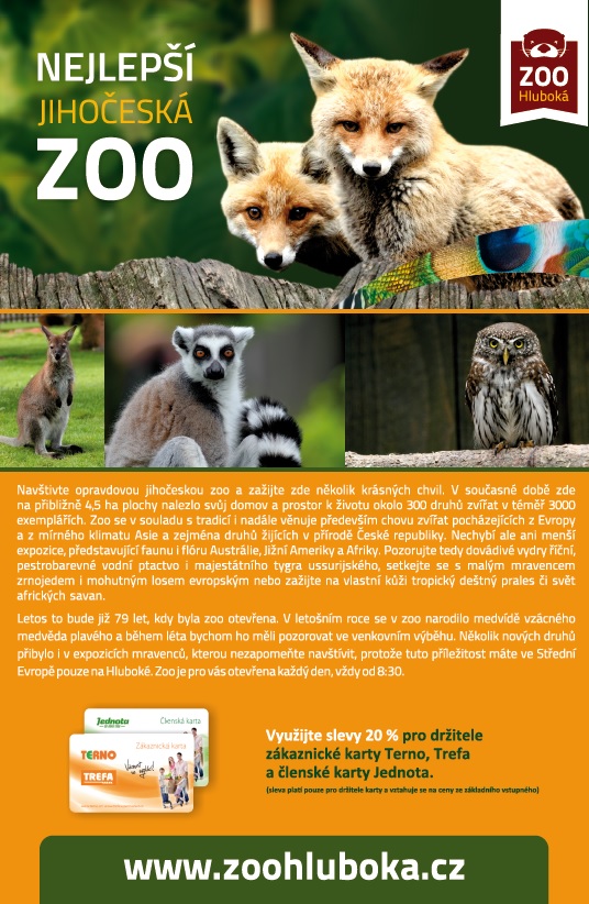 ZOO 1