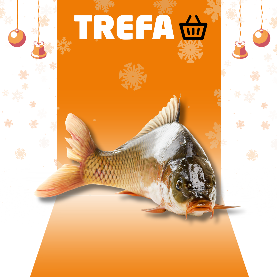 Prodej vánočních kaprů před prodejnami TREFA