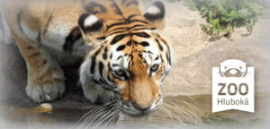 snimek obrazovky 2025 02 25 v91128